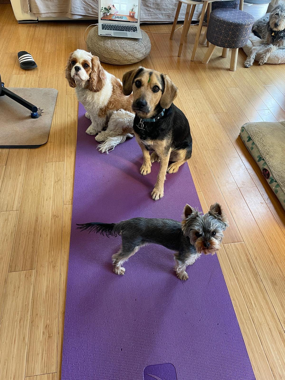 WhatsApp Image 2026-01-05 at 14.15.20 (2)