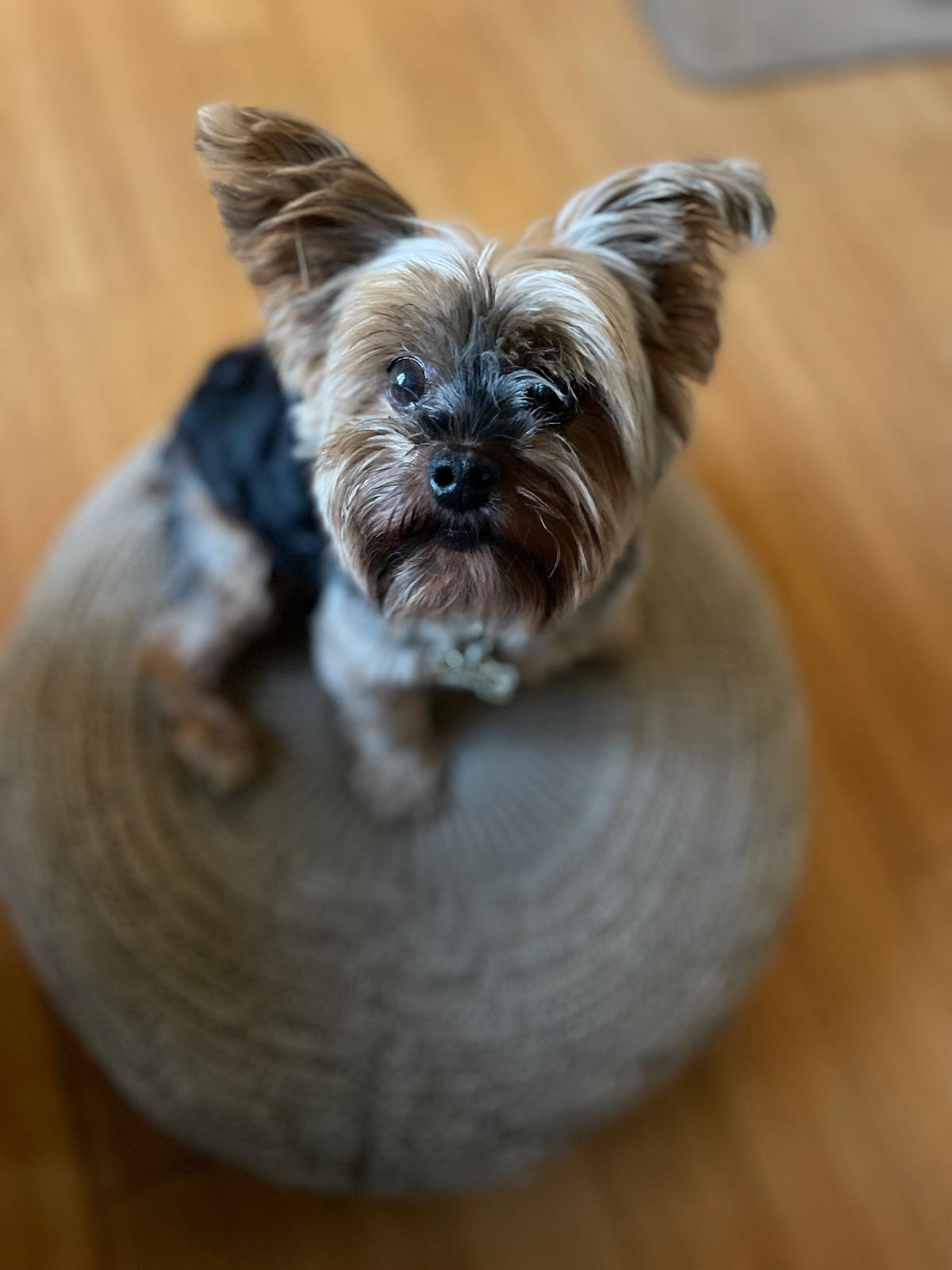 WhatsApp Image 2026-01-05 at 14.15.23 (1)