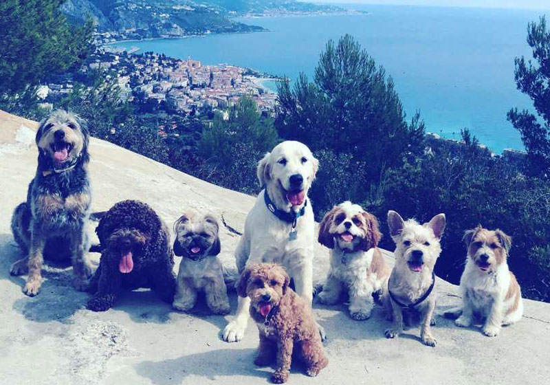 pack-walk-dolg-walking