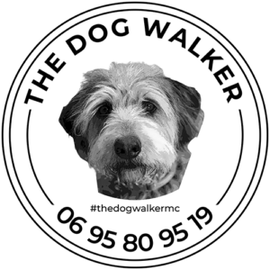 The dog walker monaco