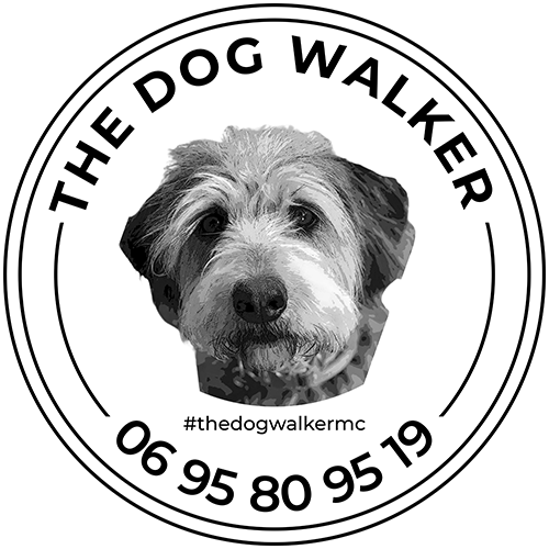 The dog walker monaco